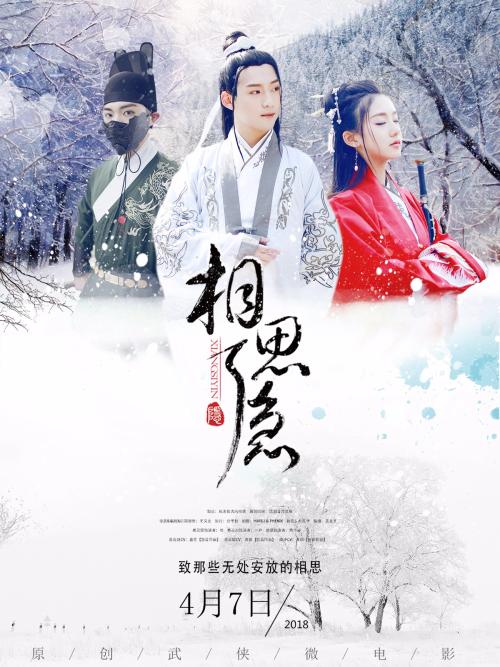 怎么购买VIC驾驶证